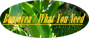 Bonjovea /What you need