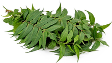 Load image into Gallery viewer, Neem Leaves (bag)