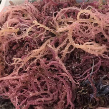 Load image into Gallery viewer, Purple Sea Moss